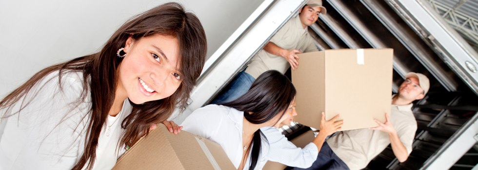 Professional Removalists Currarong